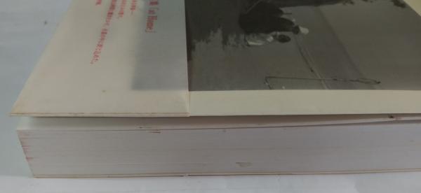 At home : 上田義彦写真集(上田義彦 著) / 古本、中古本、古書籍の通販