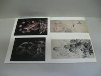 特別展覧会「まなざしの冒険」  日本美術７つの視点 絵ハガキ　１９枚セット