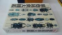 原色昆虫大圖鑑