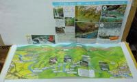 木津川下り遊船御案内(笠置遊船株式会社)/保津川下り(保津川遊船株式会社)/世界の名勝保津川下り2枚(乗船記念券1枚付・保津川企業組合)/ROMANTIC TRAIN in SAGANO SAGANO RAN ART(嵯峨野観光鉄道株式会社)　チラシ　計5枚