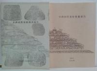 史跡頭塔発掘調査報告<奈良国立文化財研究所学報第62冊>/史跡頭塔復原整備報告 計2冊