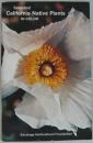 Selected California Native Plants IN COLOR カリフォルニアの在来植物