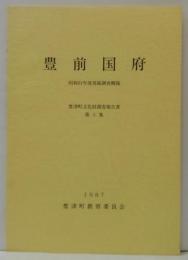 豊前国府 : 発掘調査概報