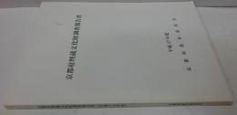 京都府埋蔵文化財調査報告書 平成17年度