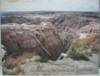 Consuming the American Landscape
