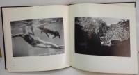 （英）Contemporary Photographers Toward a Social Landscape　現代写真家による社会風景への挑戦