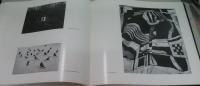 (英)Photography in the Twentieth Century
