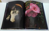 中平卓馬 Documentary