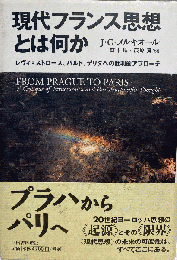 現代フランス思想とは何か レヴィ＝ストロース、バルト、デリダの批判的アプローチ
