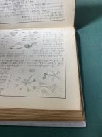 児童百科大辞典 4　植物編　- 蔭花植物・植物通論・生物学問題