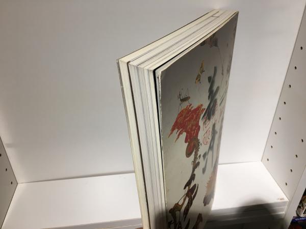 【美品】若冲　特別展覧会　没後200年 Jakuchu!　図録 Amazon.co.jp: 若冲展 没後200年 特別展覧会 図録 : 伊藤若冲: 本