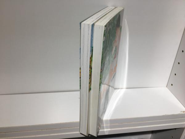 五十嵐大介 9タイトル21冊セット！！即購入OK！！バラ売り不可！！ 五十嵐大介 9タイトル21冊セット！！即購入OK！！バラ売り不可