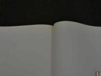 ２　ミストレス　ジャン＝フランソワ・ジョンヴェル写真集　英文