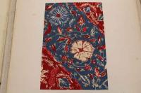 5　5　南方華布　中川伊作編輯　木版彩色図　50葉