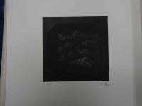 5　5　真作　藤田吉香　銅板画集　オリジナル銅板画5葉　限定83部　繭生画廊　