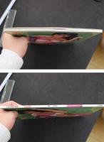 7　水樹亜美写真集　PrachGirl