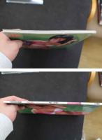 水樹亜美写真集　PrachGirl