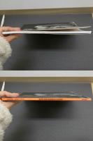 ８　MADONNA NUDES 1979　TASCHEN　1990年　マドンナ　ヌード写真集　洋書