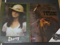 ８　プレイガール　PLAY GIRL　SUMMER　昭和49年6月号
