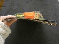 ８　①激写　別冊BIG GORO　篠山紀信全撮影　昭和52年5月　綴込みポスター付