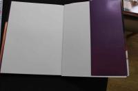 ７　山口涼子写真「ミス」」