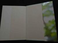 ８　高見沢杏奈ファースト写真集　VAGUE　ヴァーグ