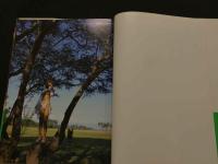 ８　浅海成亜　Queen Bee