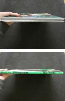 ８　浅海成亜　Queen Bee