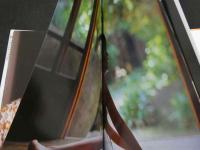 ８　細田あかり写真集　１５歳、咲きます。