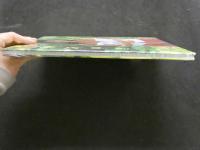 ８　香取みゆき写真集　華の18