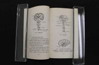 5　８　簡明頭針療法　　　1973年10月版