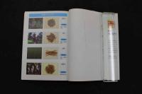 ２　5　イラスト図解　東洋医学のしくみ　関口善太／監修　2003年初版　179P