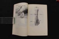 ６　２　改訂版　足医術完全図解　見てすぐわかる→病気が治る→健康になる　原田秀康／著　1996年　