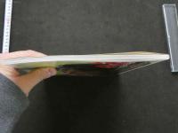 7　𠮷岡真由美写真集