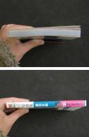 ８　マドンナメイト写真集　森田水絵