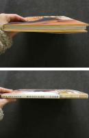 ８　上野正希子写真集　私生活　