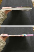 ８　ロリータ大鑑　Lolita Collection　君に贈る貴重なガイドブック　マンガ　同人誌　小説　ビデオ　アニメ　写真