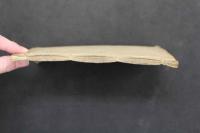 5　5　方極　吉益東洞述　品丘明記　享和3年再刻　薄葉紙刷