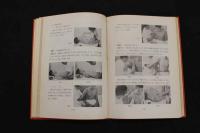 5 3　図解スポーツ・マッサージ　鈴木克也・高沢晴夫・遠藤芳郎/共著　