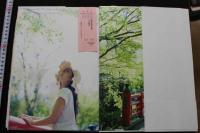 7　吉澤友貴写真集　Yの革命