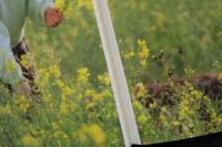 7　牧本千幸写真集　18歳の少女日誌