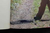 7　広末奈緒写真集　「優純」