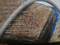 ８　日下部加奈写真集　ゴージャスプリン