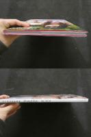 ８　日下部加奈写真集　ゴージャスプリン