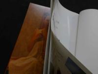 ８　遠藤正[ロシアの美少女]写真集　オーチン・ハラショー