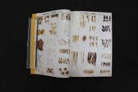 5　5　意釈神農本草経　浜田善利＋小曽戸丈夫共著　1981年第2版