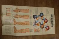 5　5　鍼灸補瀉要穴之図　柳谷素霊・井上恵理校閲　本間祥白著　説明書附取穴論付