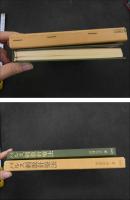 ２　5　新しい時代の針治療　パルス刺激針療法　225P