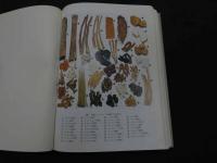 ２　5　プライマリ・ケアと東洋医学　大塚恭男ら／編　480P