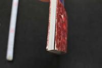 7　斎藤慶子写真集　誘惑